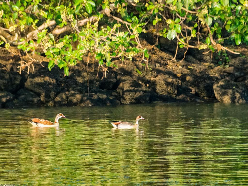 វិធីធ្វើឲ្យមានភាពស្រាលក្នុងការសំរាក