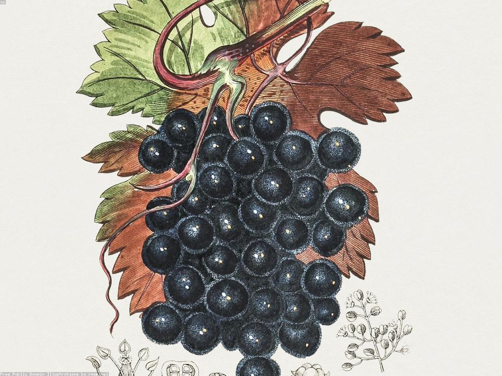 វិធីស្នាក់នៅផលិតផលធម្មជាតិ game slot