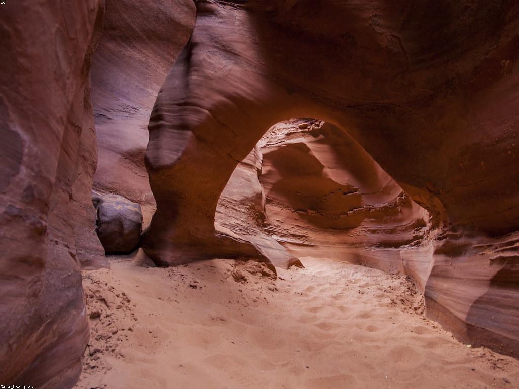 វិធីស្នាក់នៅផលិតផលធម្មជាតិ game slot