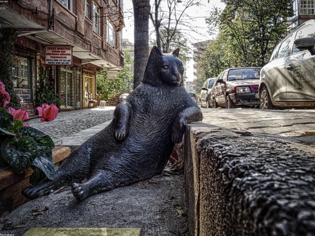 វិធីងាយៗសម្រាប់អ្នកថ្មី