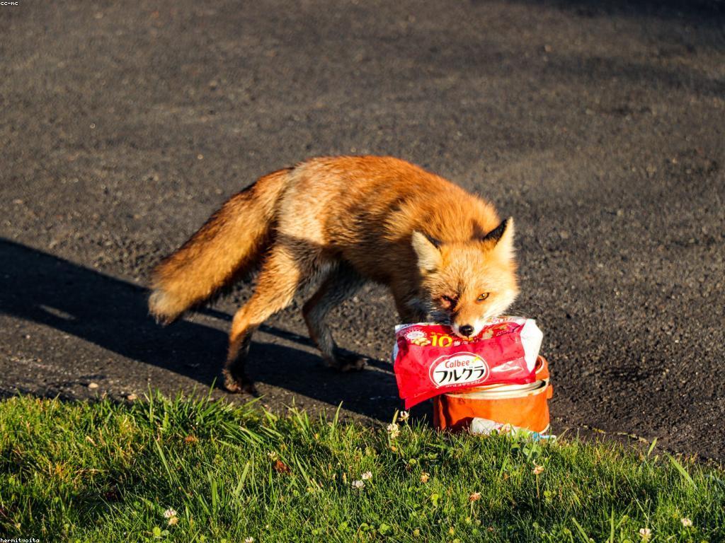 វិធីងាយៗសម្រាប់អ្នកថ្មីក្នុងការរៀនធ្វើម្ហូប