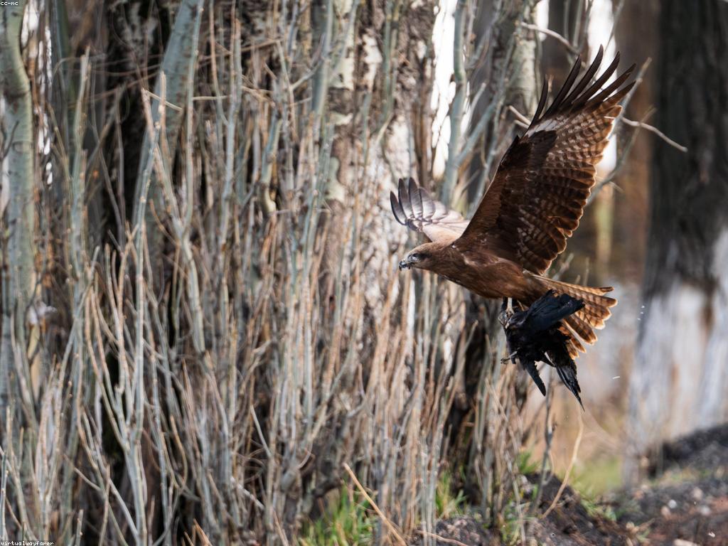 វិធីស្នាក់នៅផលិតផលធម្មជាតិ game slot